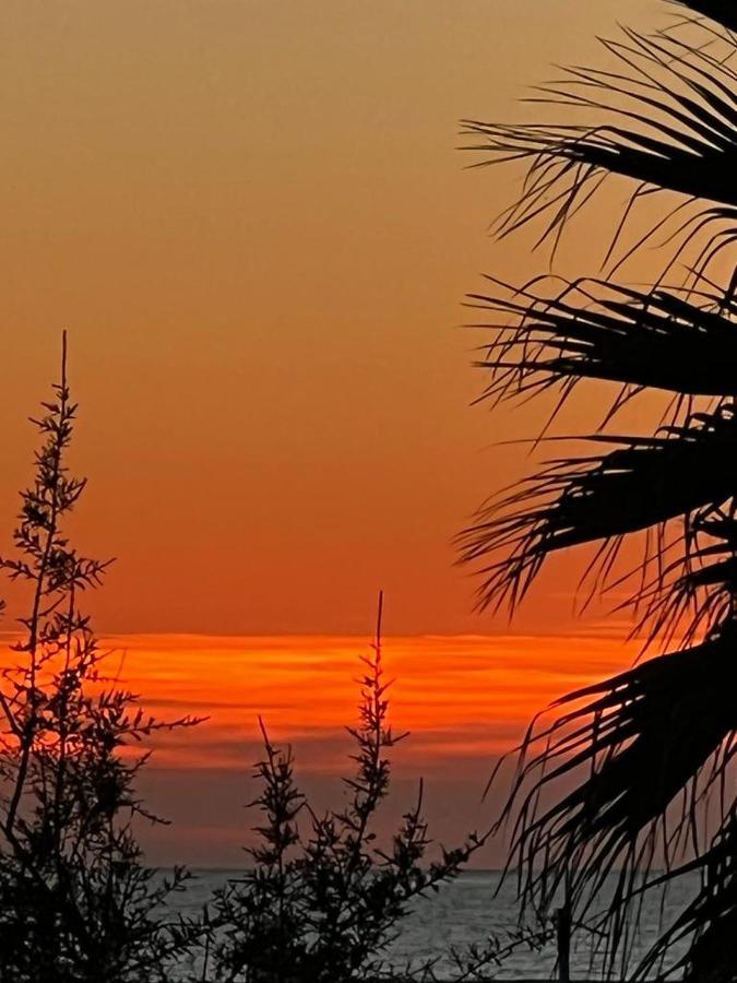Rome Sea Lejlighed Lido di Ostia Eksteriør billede